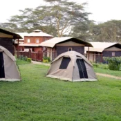 Camping tents pitched on a grassy lawn at a campsite in Naivasha