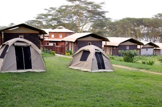 How Do You Choose a Campsite in Naivasha? A First-Timer’s Guide from Nairobi