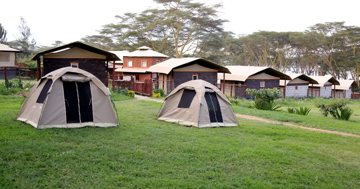 Camping tents pitched on a grassy lawn at a campsite in Naivasha